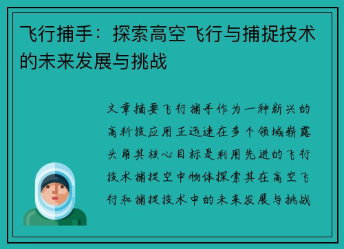 飞行捕手：探索高空飞行与捕捉技术的未来发展与挑战